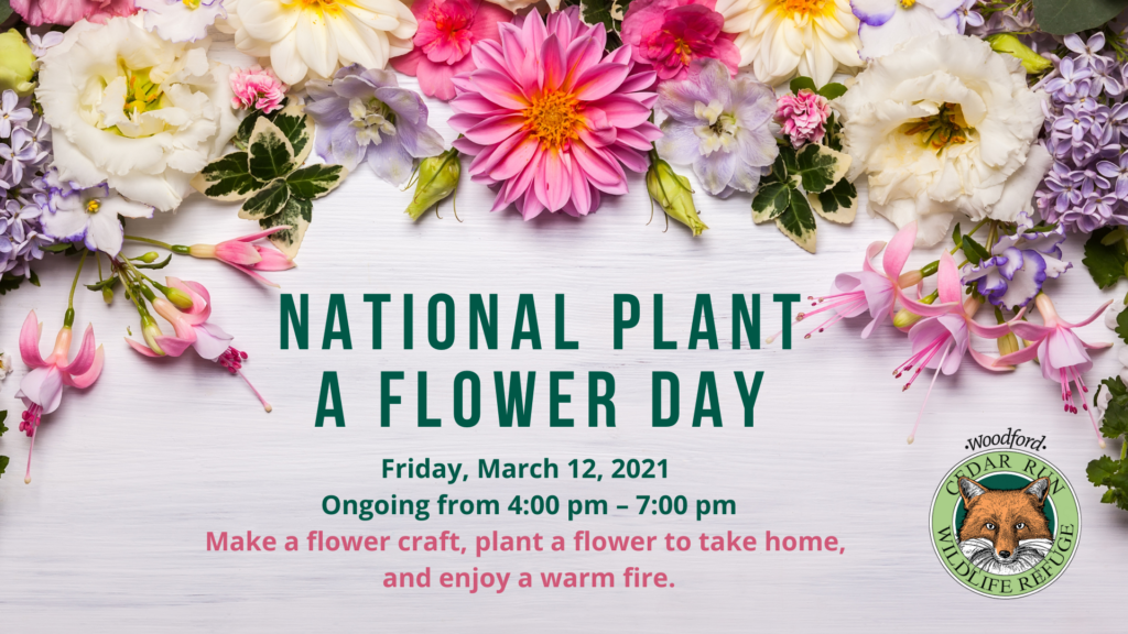National Plant a Flower Day Cedar Run Wildlife Refuge