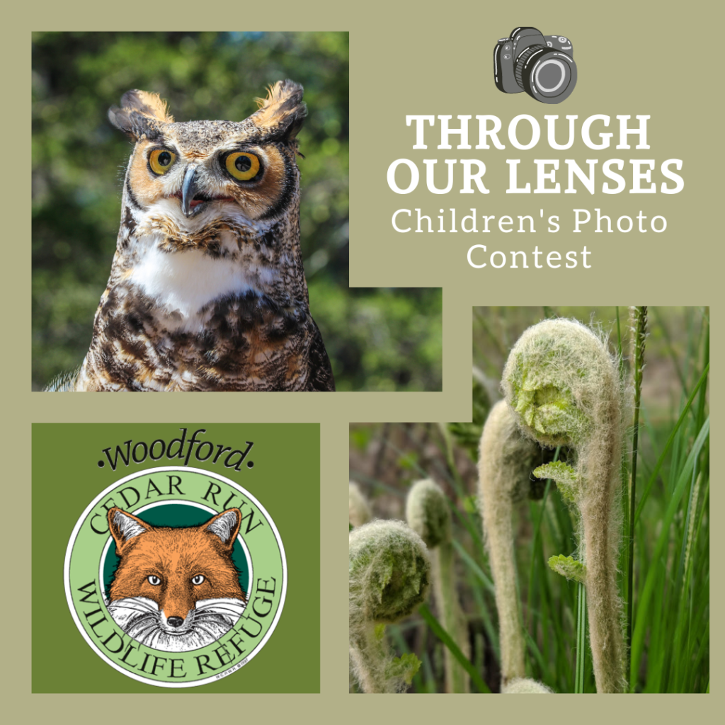 Through Our Lenses Children's Photo Contest