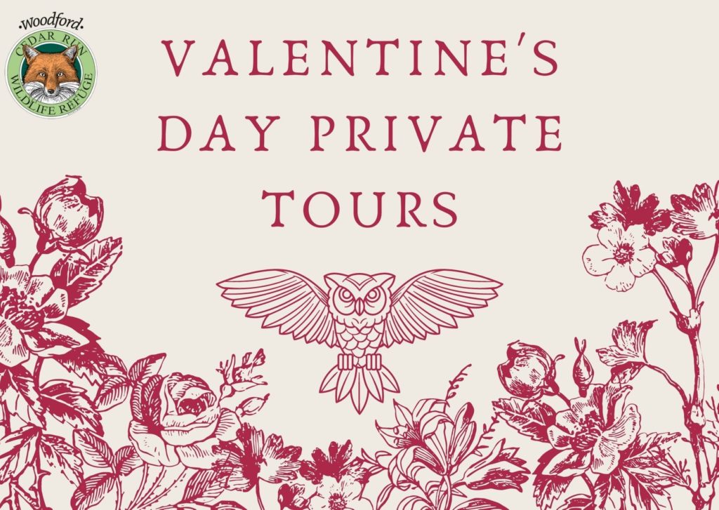 Valentine's Day Private Tours