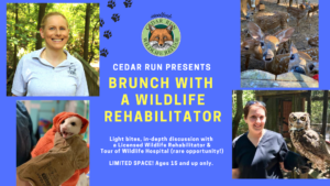SOLD OUT! Brunch with a Wildlife Rehabilitator