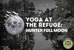 Yoga At The Refuge: Hunter Full Moon Edition