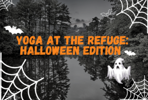 Yoga At The Refuge: Halloween Edition