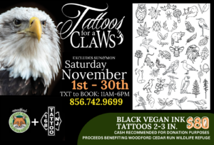 Tattoos for Claws