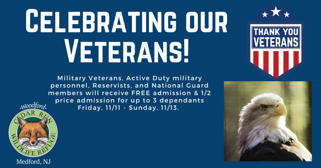 Veterans Day- FREE admission for veterans and active military