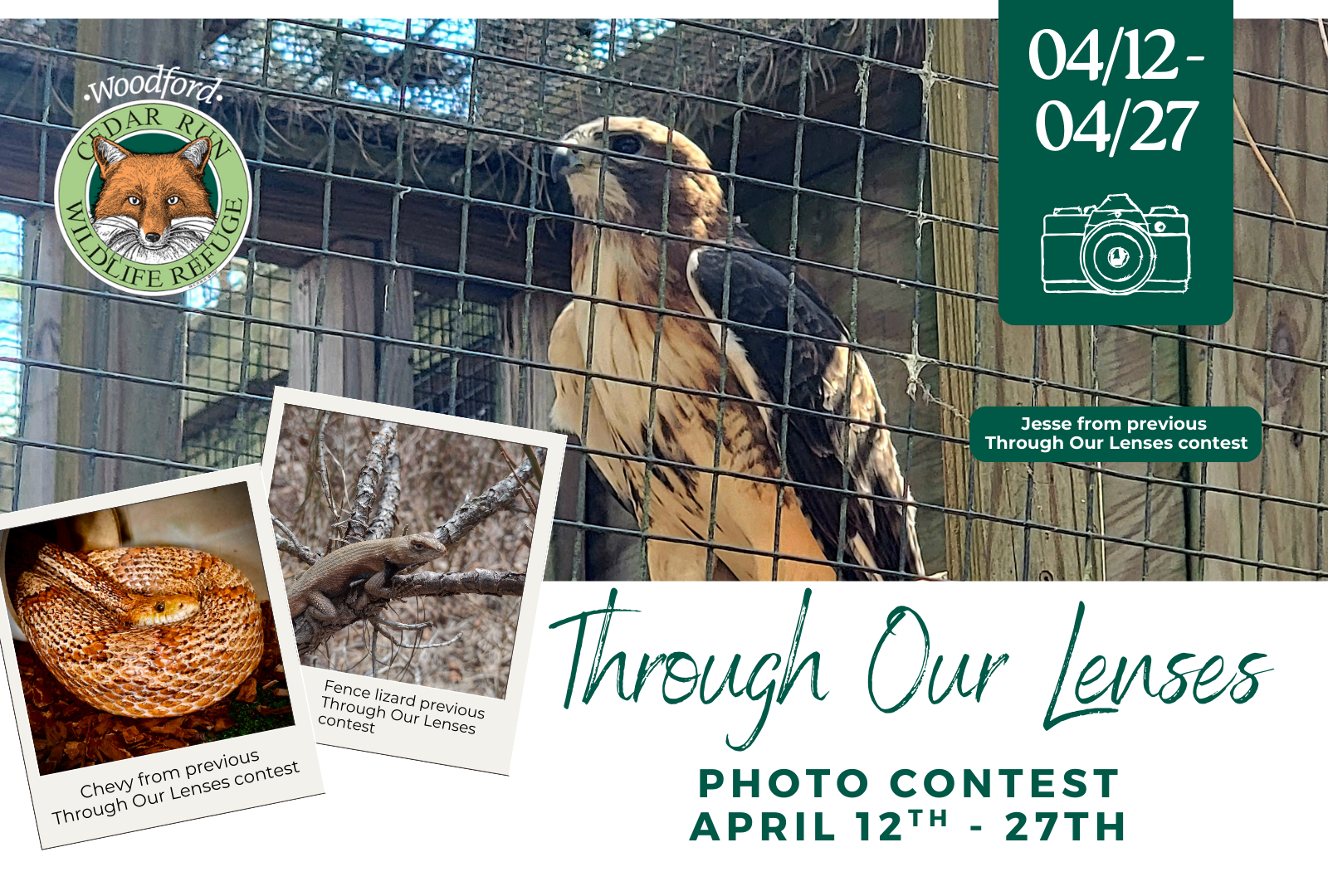 Through Our Lenses Photo Contest
